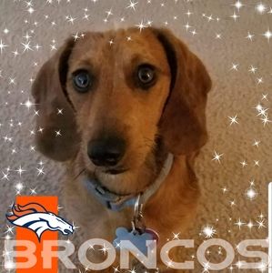 Meet your Posher, Joyce